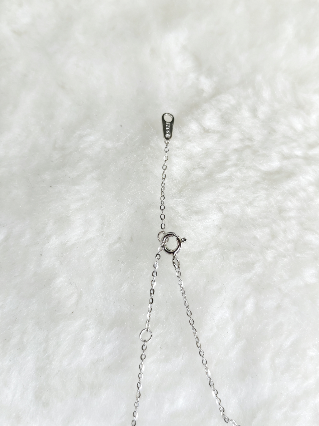 925 Sterling Silver Moissanite Interlocking Circle Necklace